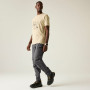 Pantalon homme Regatta Tuned In Pro Zip Off II Trouser