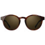 Lunettes soleil Vallon Waylons - polarized brun Chestnut