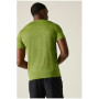 T-shirt homme Regatta Fingal Edition
