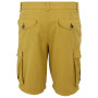 Shorts homme Regatta Shorebay Shorts II