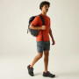 Shorts homme Regatta Xert Stretch Shorts