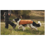 Vêtement pour chien Ruffwear Overcoat Fuse™ Insulated Vest