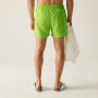 Maillot de bain homme Regatta Mawson Swim Shorts III