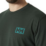 T-shirt homme Helly Hansen Skog Graphic T-Shirt