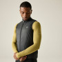 Gilet homme Dare 2b Chase Gilet