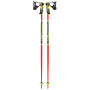 Bâtons ski Leki WCR Lite SL 3D