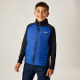 Veste enfant Regatta Boys Trekktain 3-in-1 II Nvy/OlympBlu