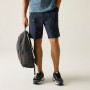 Shorts homme Regatta Arlery Shorts