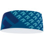 Bandeau Direct Alpine Stripe 1.0 bleu foncé Petrol/Menthol