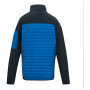 Veste homme Regatta Ceden Hybrid