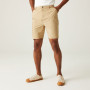 Shorts homme Regatta Dalry Short