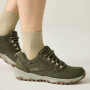 Chaussures homme Regatta Amble Low WP
