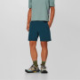 Shorts homme Salewa Pedroc Dst Light Short M