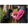 Trousse de premiers secours pour chiens Mountain Paws Dog First Aid Kit