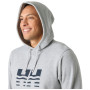 Sweat-shirt homme Helly Hansen Core Graphic Hoodie