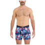 Caleçon Saxx Daytripper Bb Fly