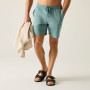Shorts homme Regatta Hadlin Shorts