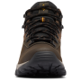 Chaussures homme Columbia Newton Ridge™ Plus II Waterproof
