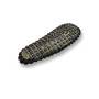 Tongs homme Gumbies Khaki G