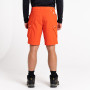 Short homme Dare 2b Tuned In II Short 2023