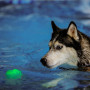 Jouet pour chien Nite Ize GlowStreak Wild LED Ball