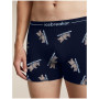 Caleçons fonctionnels homme Icebreaker Men M 150 Anatomica Boxers BearTourAOP