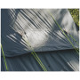 Tente familiale Outwell Earth 5 Plus
