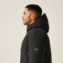 Veste homme Regatta Dallymoore