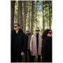 Veste homme Regatta Dallymoore