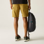 Shorts homme Regatta Ruwan Shorts