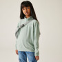 Sweatshirt enfant Regatta Hot Shot II