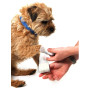 Trousse de premiers secours pour chiens Mountain Paws Dog First Aid Kit