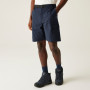 Shorts homme Regatta Mallen Shorts