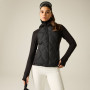 Veste de plein air pour femme Dare 2b Enfold Hybrid