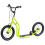 Couleur: vert clair