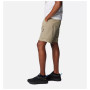 Shorts homme Columbia Silver Ridge™ Utility Cargo Short