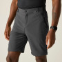 Pantalon homme Regatta Anti-Insect Travel Light Z/O Trousers