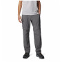 Pantalon homme Columbia Silver Ridge™ Utility Convertible Pant