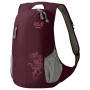 Sac à dos Jack Wolfskin Ancona 14 violet DarkBerry
