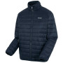 Veste homme Regatta Wentwood