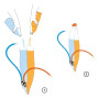 Poche d'hydratation Source Widepac D|vide 2L