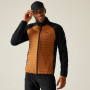 Veste homme Regatta Clumber Hybrid