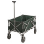 Chariot camping Easy Camp Palmero Transporter green Pacific Blue