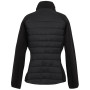 Veste femme Regatta Wmn Clumber V Hyb
