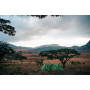 Tente de randonnée Vango Scafell 300 Plus