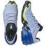 Chaussures de running hommes Salomon Speedcross 6 GTX Icon