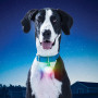 Pendentif lumineux Nite Ize SPOTLIT XL