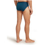 Slip homme Icebreaker Mens Anatomica Briefs