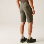Shorts homme Regatta Highton Shorts Long II