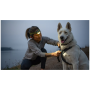Harnais pour chien Ruffwear Front Range® Harness